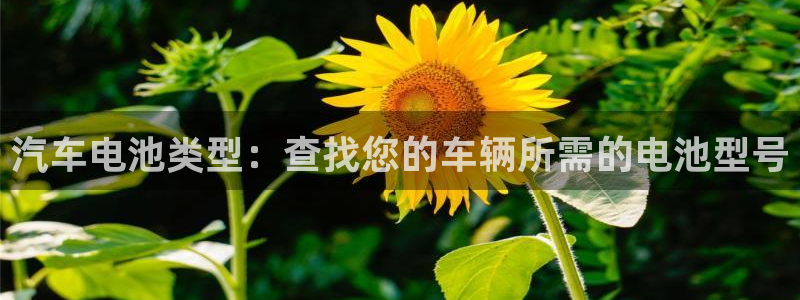 优发国际youfa
