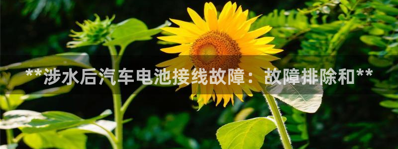 优发国际游戏网站