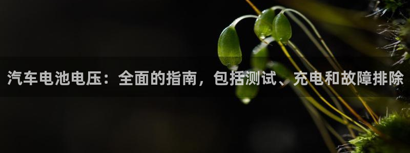 优发国际是大平台吗还是小平