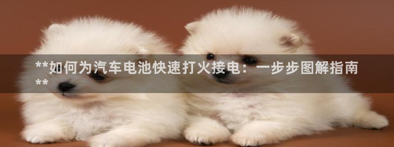 优发国际软件下载官网