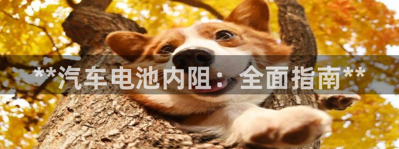 优发国际一首页