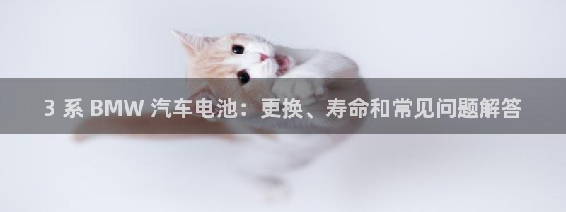 优发国际软件下载官网