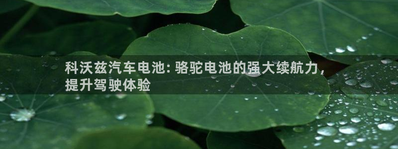 优发国际首页