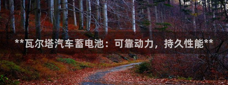 优发国际官网下载app