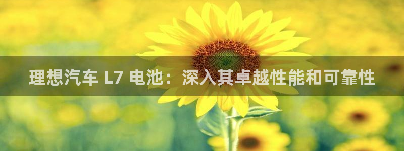 优发国际手机客户端下载不了