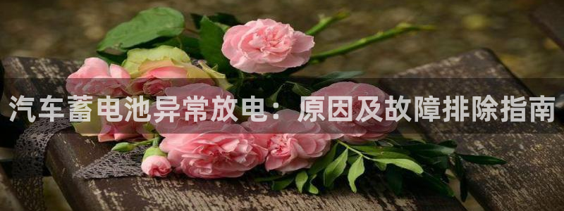 优发国际平台g80