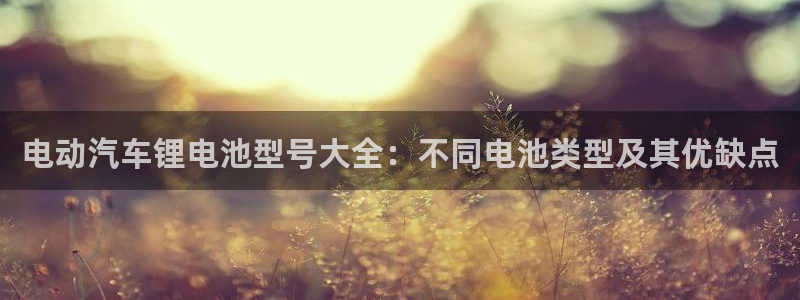 优发国际集团股份有限公司招聘