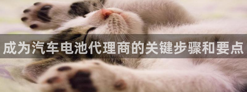 优发国际官网qy88