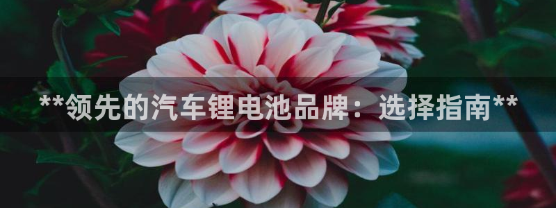 优发国际手机版下载官网