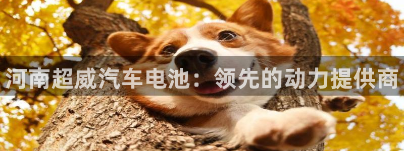 优发国际官方网平台电话