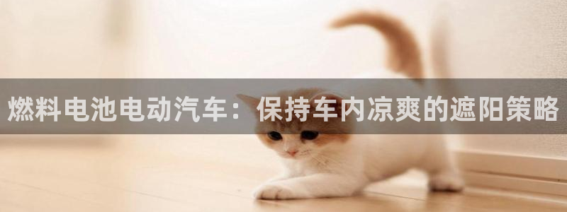 优发国际手机app下载安装最新版