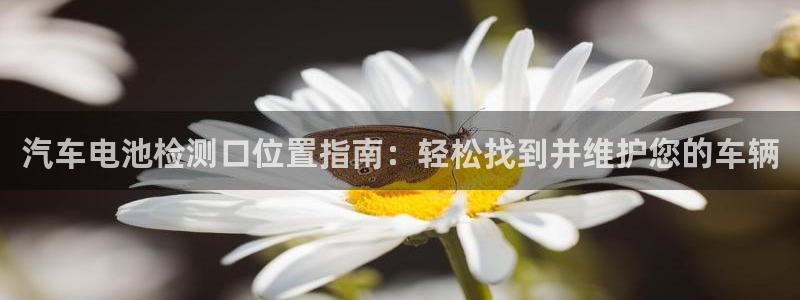 优发国际平台g80