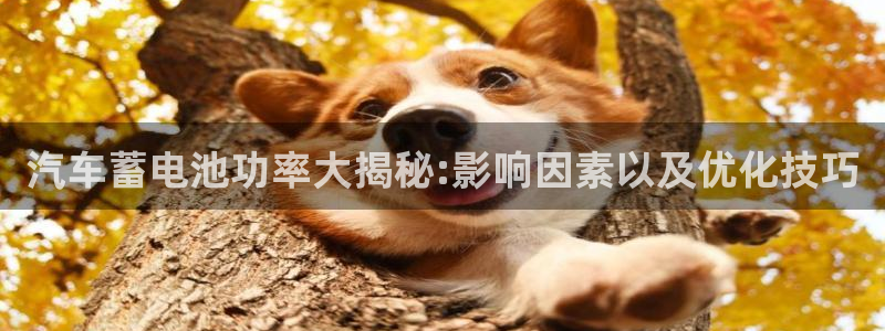 优发国际最新网站下载