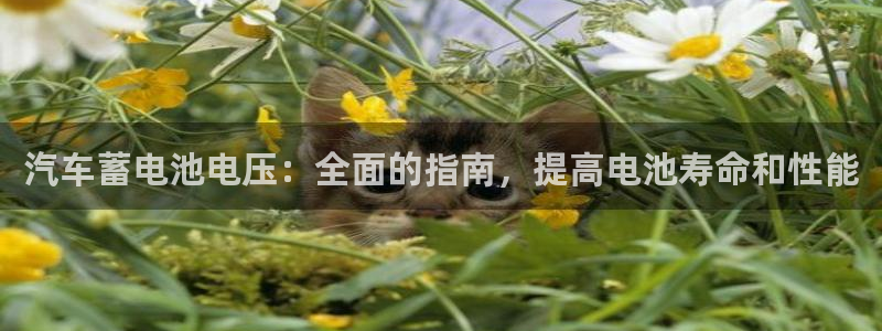 优发国际官网下载