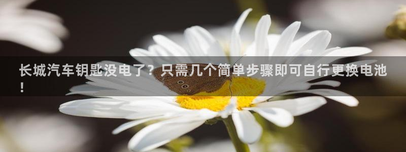 优发国际游戏