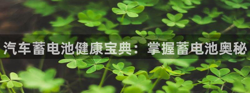 优发国际登陆