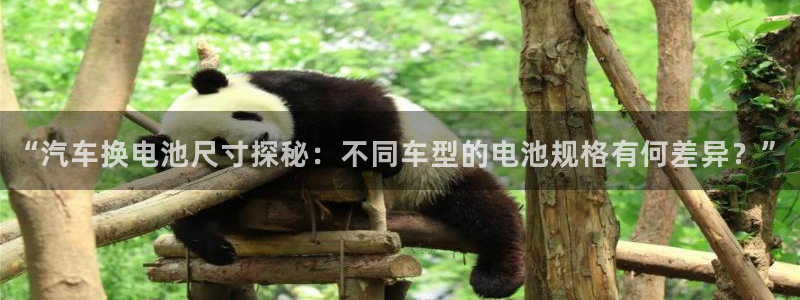 优发国际网官网17k8