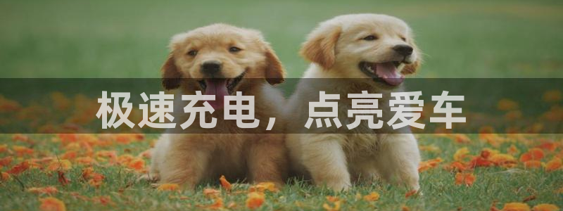 优发国际网官