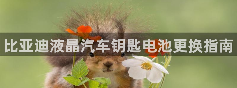 优发国际是大平台吗还是小平