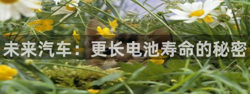 优发国际登陆