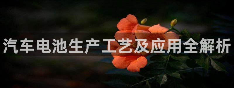 优发国际vip网址：汽车电池生产工艺及应用全解析