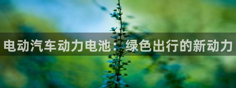 优发国际官网网站