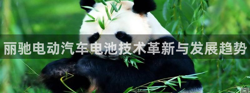 优发国际手机版唯一官网是什么：丽驰电动汽车电池技术革新与发展趋势