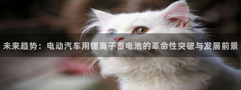 优发娱乐pt官网客户端：未来趋势：电动汽车用锂离子蓄电池的革命性突破与发展前景