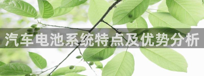 优发国际登录首页：汽车电池系统特点及优势分析