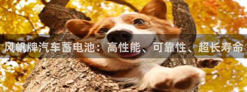 优发国际安卓版下载安装苹果