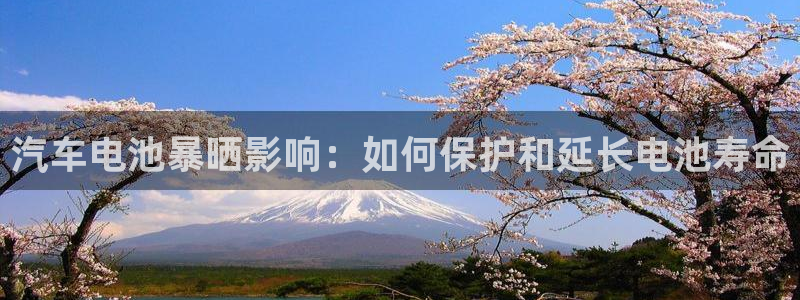 优发国际的官网是