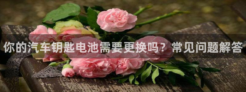 优发国际首页首页y6