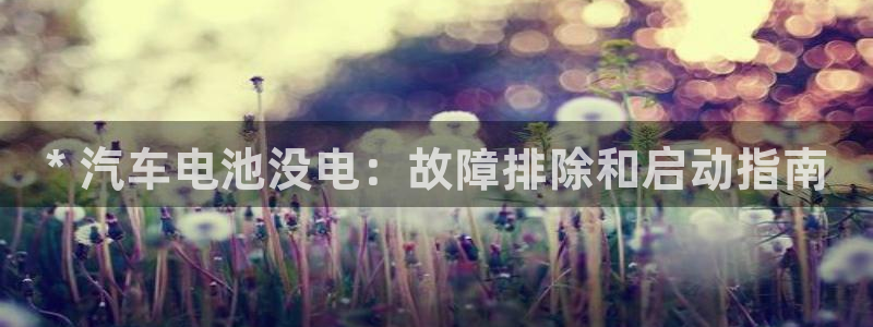 优发国际 干什么的：* 汽车电池没电：故障排除和启动指南