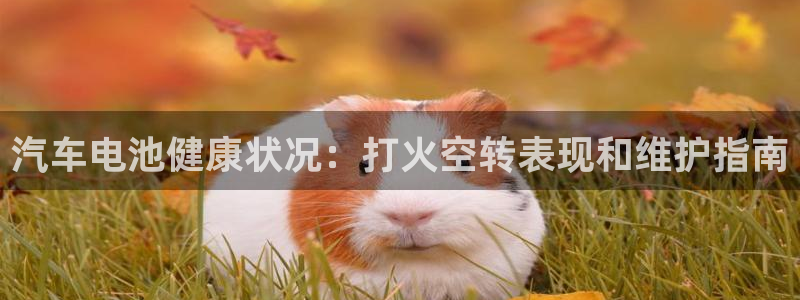优发国际安卓版下载安装