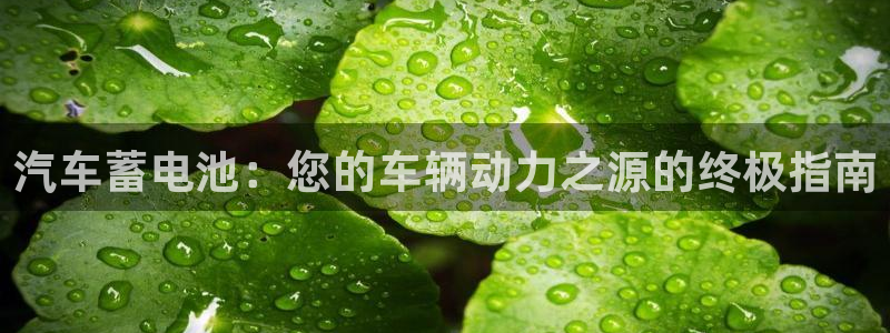 优发国际是什么：汽车蓄电池：您的车辆动力之源的终极指南