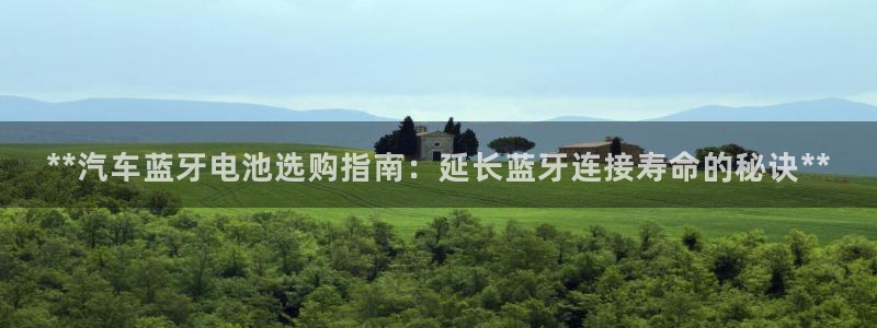 优发国际官网登录：**汽车蓝牙电池选购指南：延长蓝牙连接寿命的秘诀**