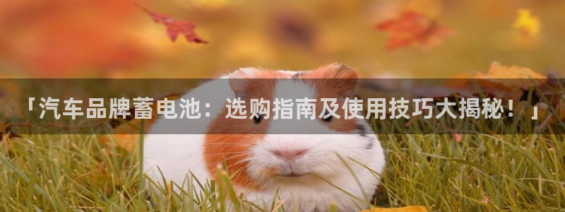 优发国际手机app下载地址