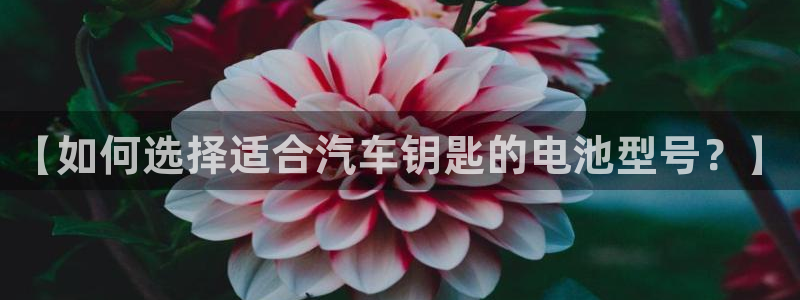 优发国际手机客户端下载官网