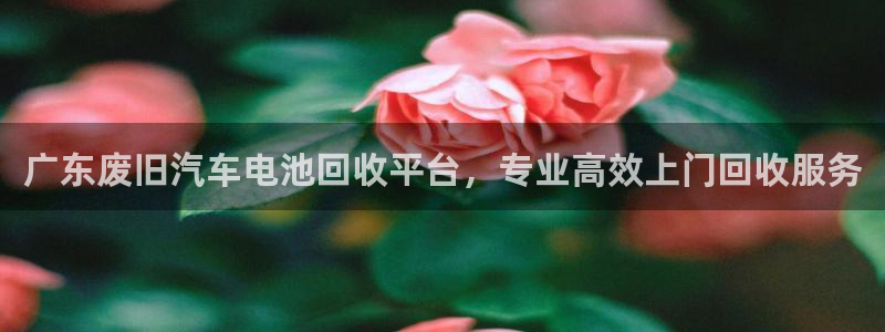 优发国际youfa966