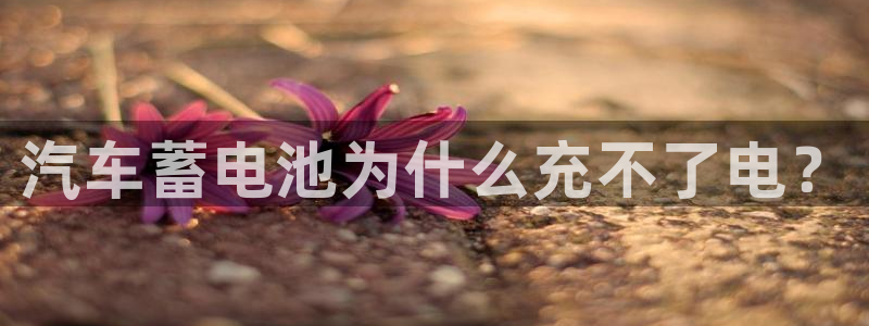 优发国际是不是黑网：汽车蓄电池为什么充不了电？