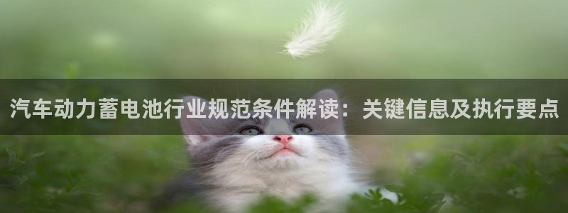 优发国际多少