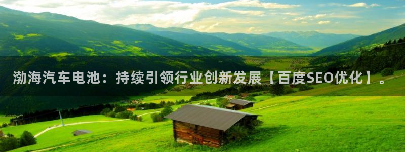 优发国际的网站是：渤海汽车电池：持续引领