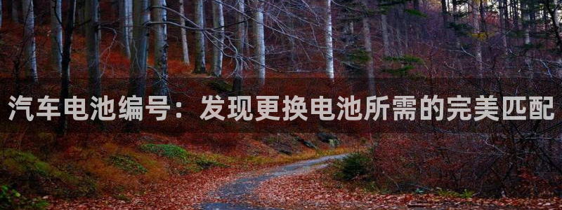 优发国际注册17：汽车电池编号：发现更换