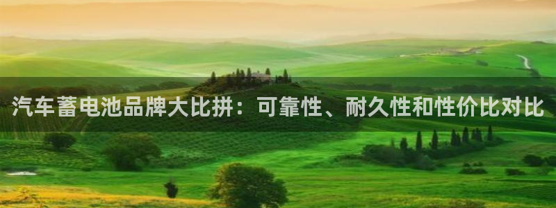 优发国际官网登陆：汽车蓄电池品牌大比拼：可靠性、耐久性和性价比对比