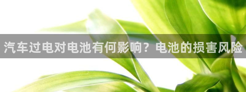 优发国际手机版客户端下载