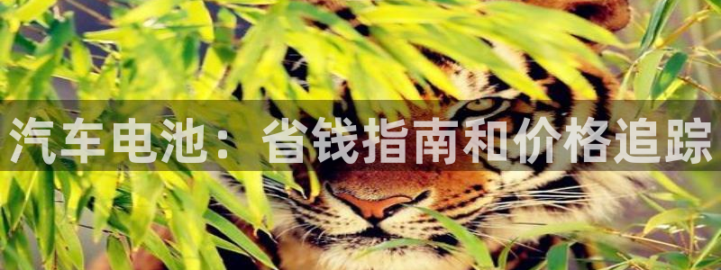 优发国际平台