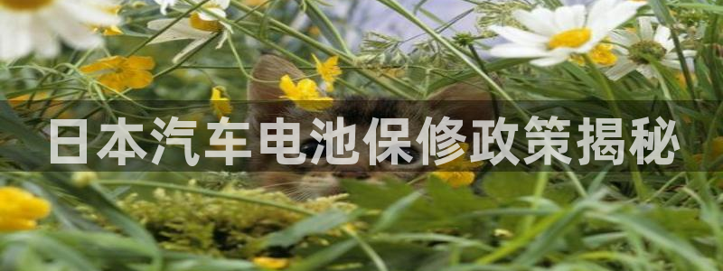 优发国际手机版网站官网