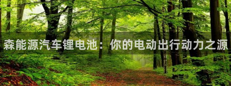 优发国际提现不了：森能源汽车锂电池：你的电动出行动力之源