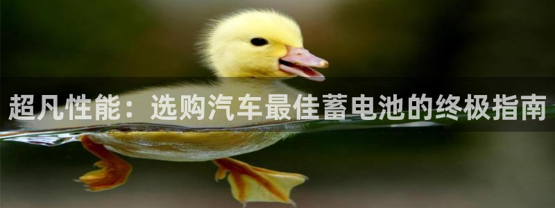 优发国际官方网平台：超凡性能：选购汽车最佳蓄电池的终极指南