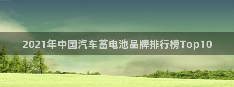 优发国际登录168：2021年中国汽车蓄电池品牌排行榜Top10